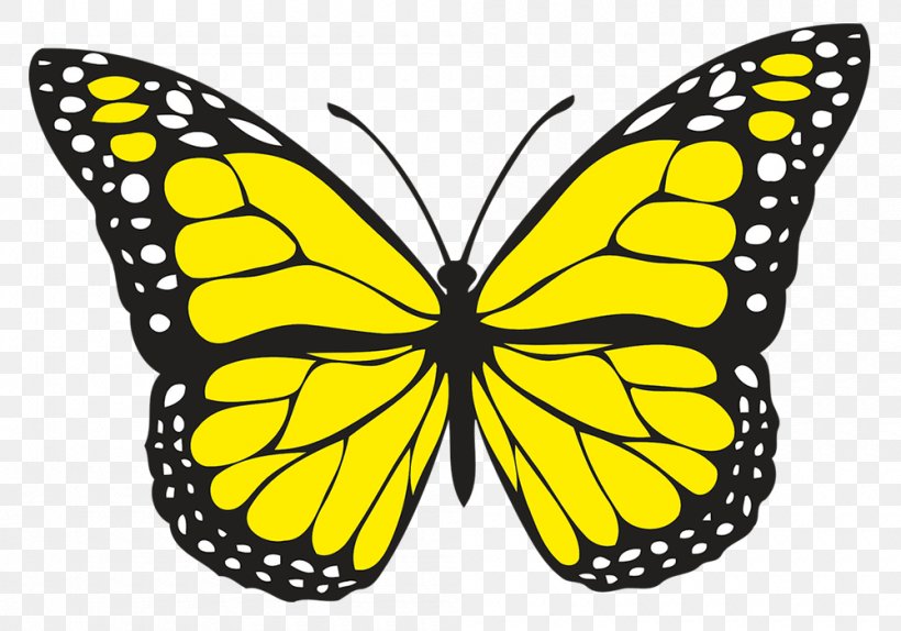 Butterfly Insect Clip Art, PNG, 1000x700px, Butterfly, Arthropod, Black And White, Brush Footed Butterfly, Color Download Free