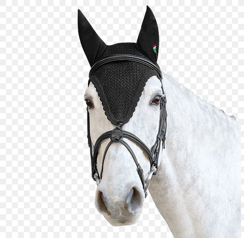 Horse Tack Equestrian Clothing Veil, PNG, 800x800px, Horse, Bonnet, Breeches, Bridle, Chaps Download Free