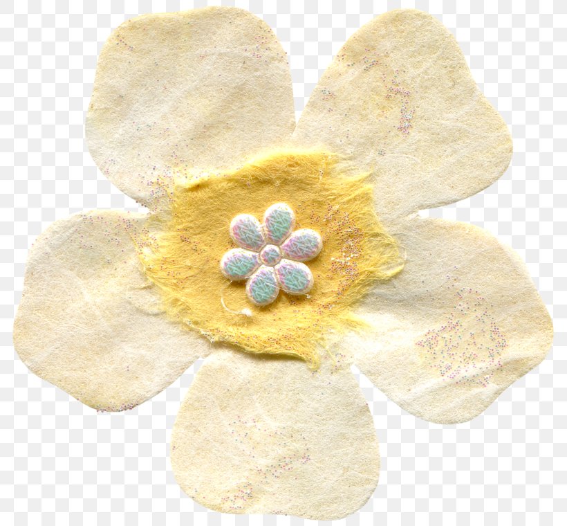 Jewellery Material, PNG, 800x760px, Jewellery, Flower, Material, Petal Download Free