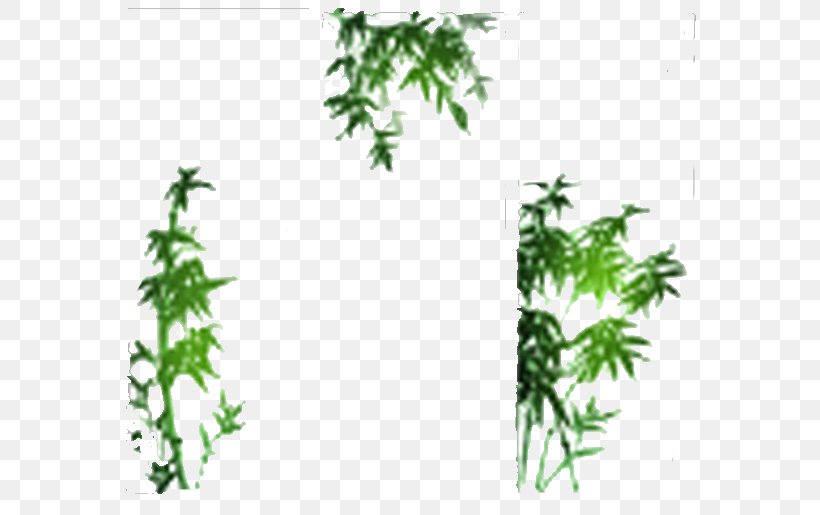 Photography Bamboo Drawing, PNG, 600x515px, Photography, Bamboo, Branch, Drawing, Flora Download Free