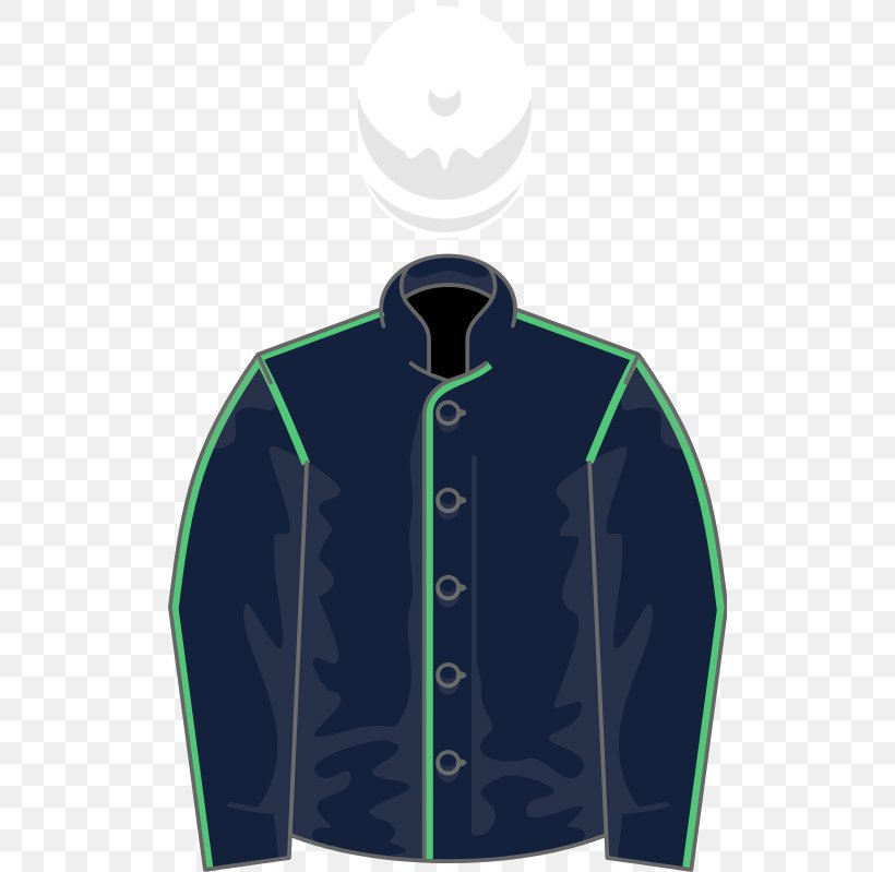 2017 Melbourne Cup Sleeve Jacket, PNG, 512x799px, Sleeve, Cartoon, Clothing, Electric Blue, Google Images Download Free