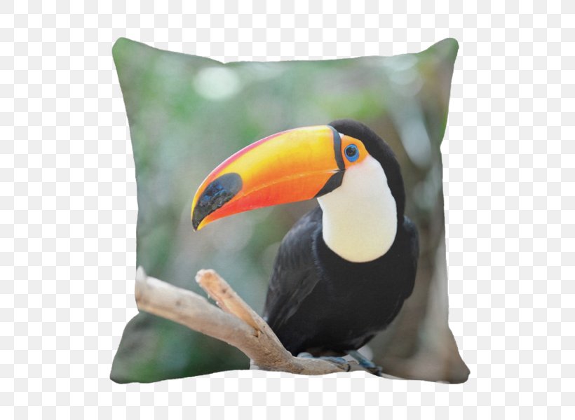 Paper Tropical Forest Toco Toucan Bird Book, PNG, 600x600px, Paper, Beak, Bird, Book, Canvas Download Free