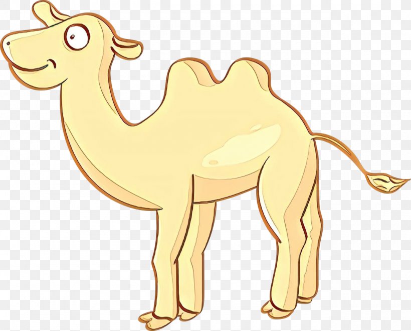Dromedary T-shirt Desert Drawing Camel, PNG, 1280x1034px, Dromedary, Animal, Animal Figure, Arabian Camel, Art Download Free