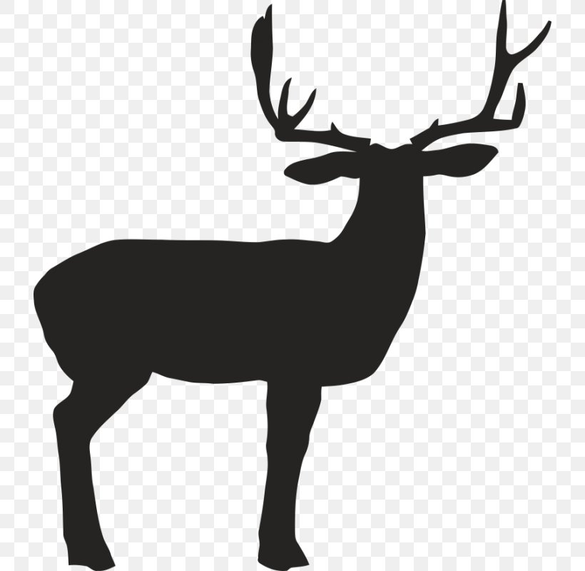 Reindeer White-tailed Deer Elk Antler, PNG, 800x800px, Deer, Antler, Archery, Black And White, Bow And Arrow Download Free