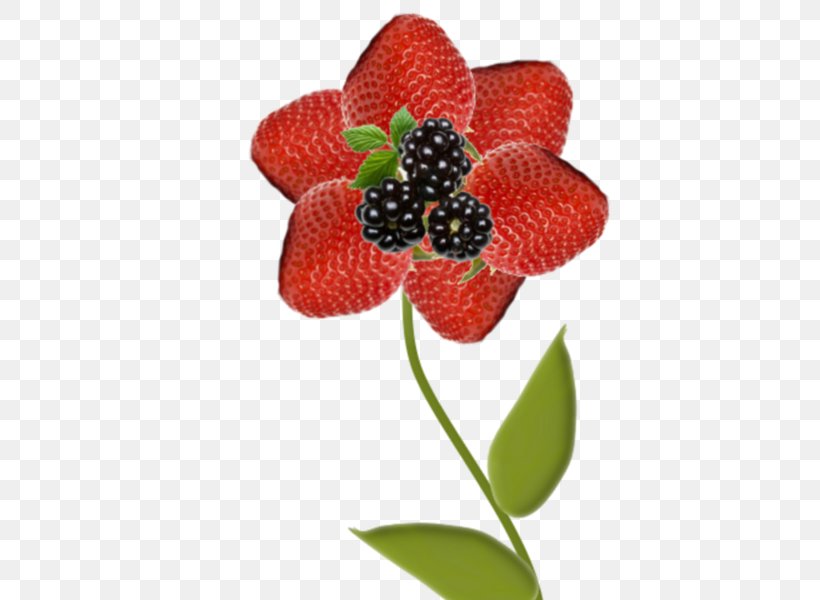 Strawberry Cartoon, PNG, 439x600px, Strawberry, Berries, Berry, Blackberry, Blackberry Limited Download Free