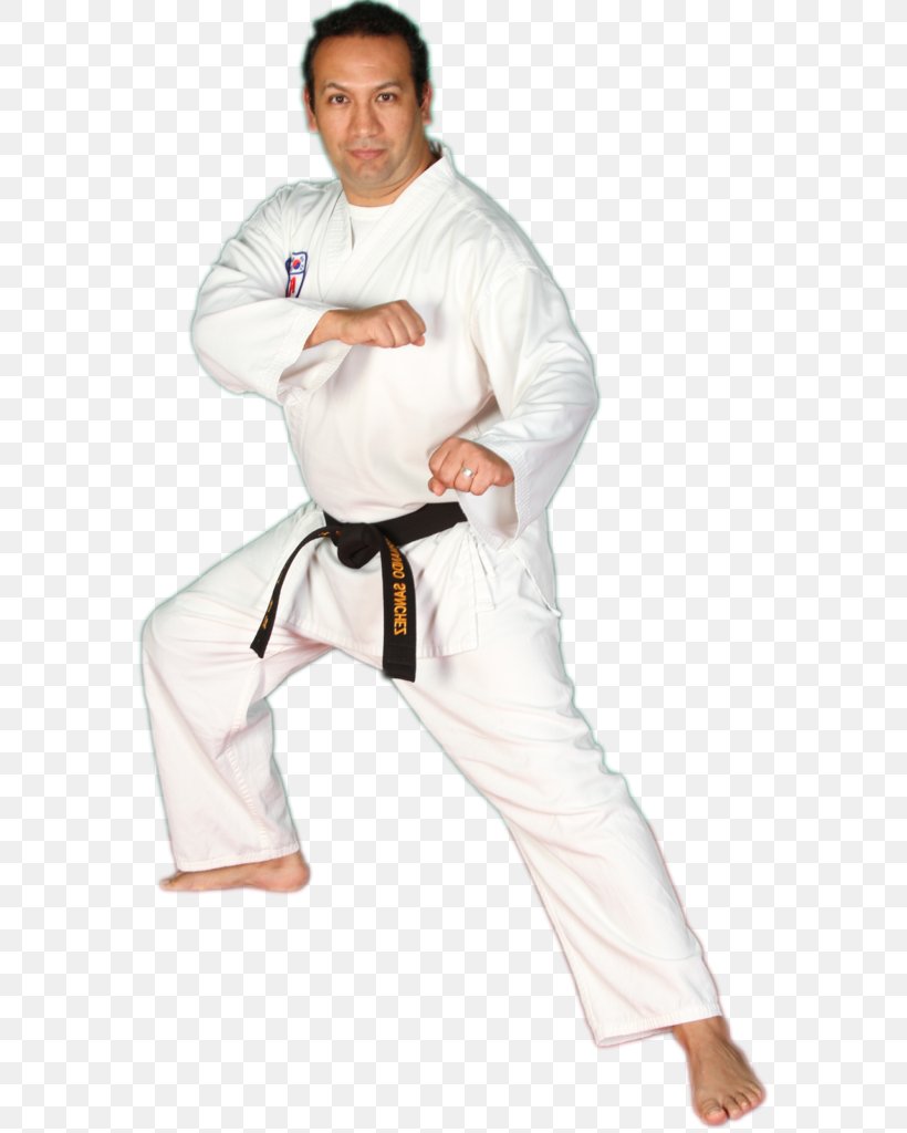 Dobok Karate Sports Hapkido Uniform, PNG, 576x1024px, Dobok, Arm, Costume, Hapkido, Japanese Martial Arts Download Free