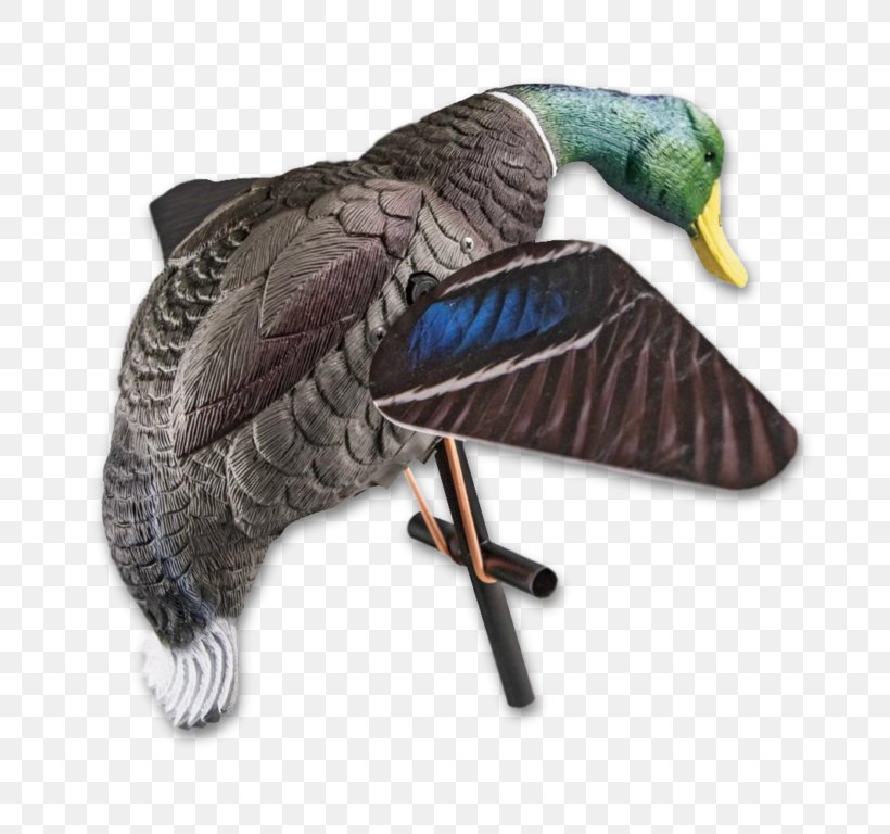 Duck Hunt Mallard Decoy Hunting, PNG, 768x768px, Duck, Beak, Bird, Canada Goose, Daisy Duck Download Free