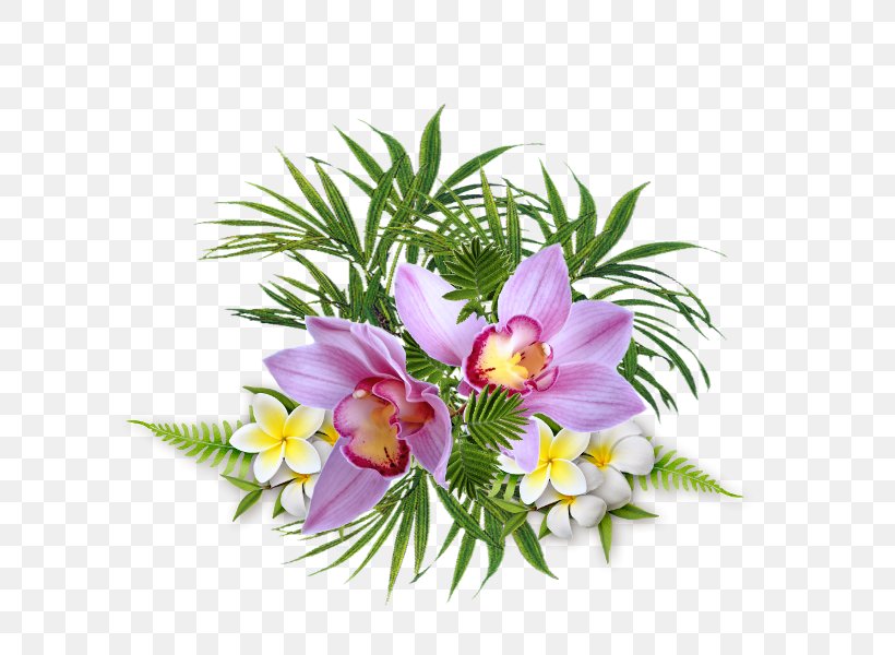 Floral Design Cut Flowers Clip Art, PNG, 600x600px, Floral Design, Alstroemeriaceae, Art, Cut Flowers, Flora Download Free