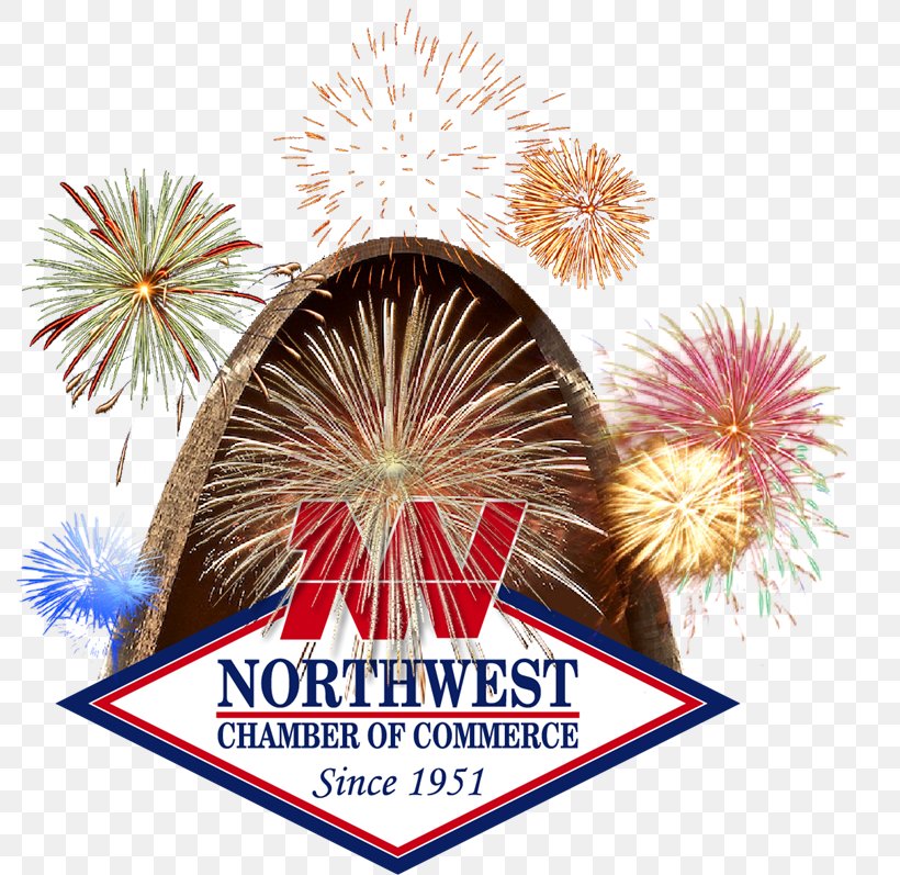 New Year Fireworks Independence Day Map, PNG, 800x797px, New Year, Event, Fireworks, Independence Day, Map Download Free