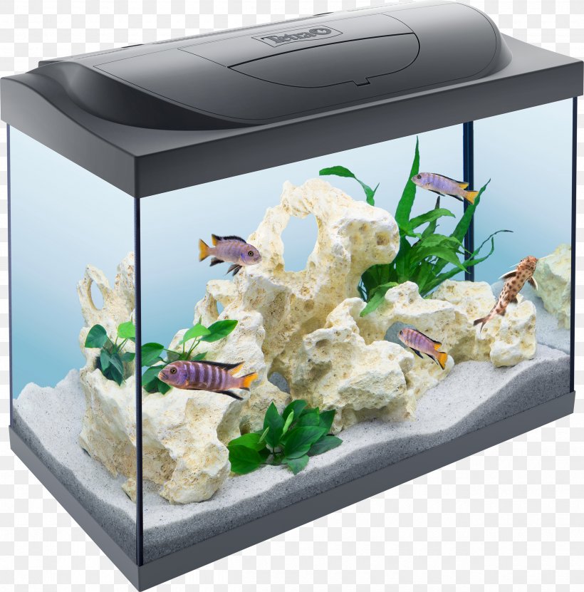 Reef Aquarium Tetra Keeping Goldfish, PNG, 2500x2536px, Aquarium, Air Pump, Aquarium Decor, Aquarium Filters, Coldwater Fish Download Free