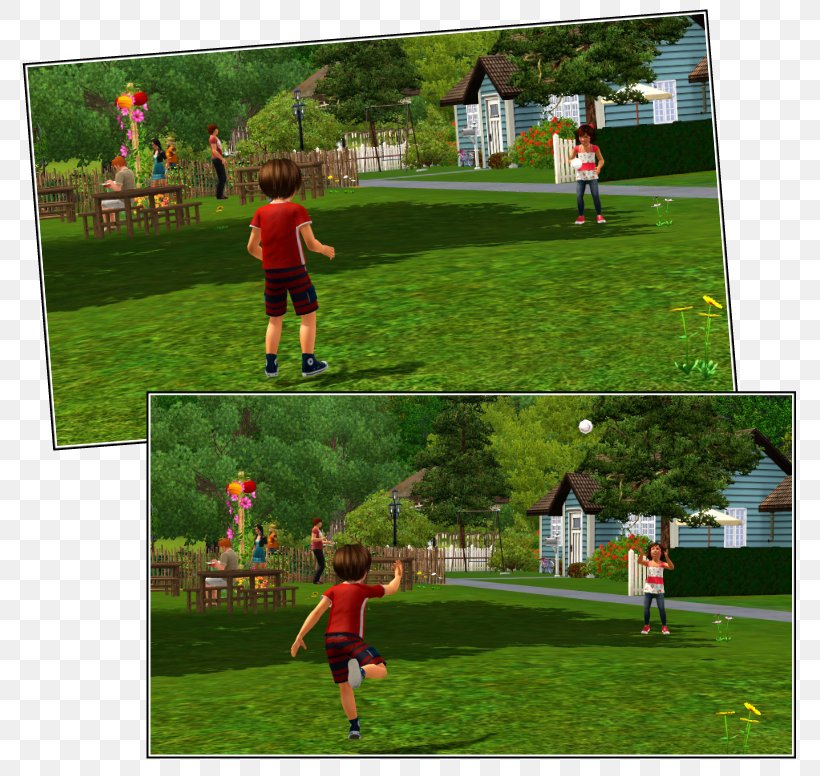 Sport Tournament Game Leisure Tree, PNG, 800x776px, Sport, Area, Artificial Turf, Ball, Competition Download Free