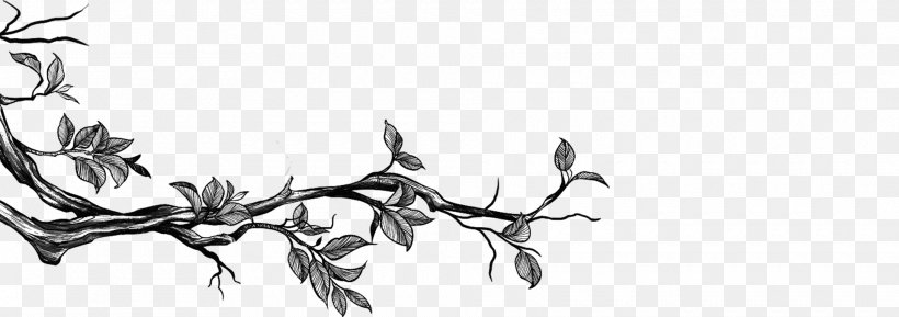Premium Vector  Willow twig sketch branch of a tree doodle style fluffy  plant spring herald
