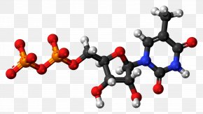 Phosphite Anion - Uridine Monophosphate Ribose Uridine Triphosphate Adenosine Monophosphate PNG