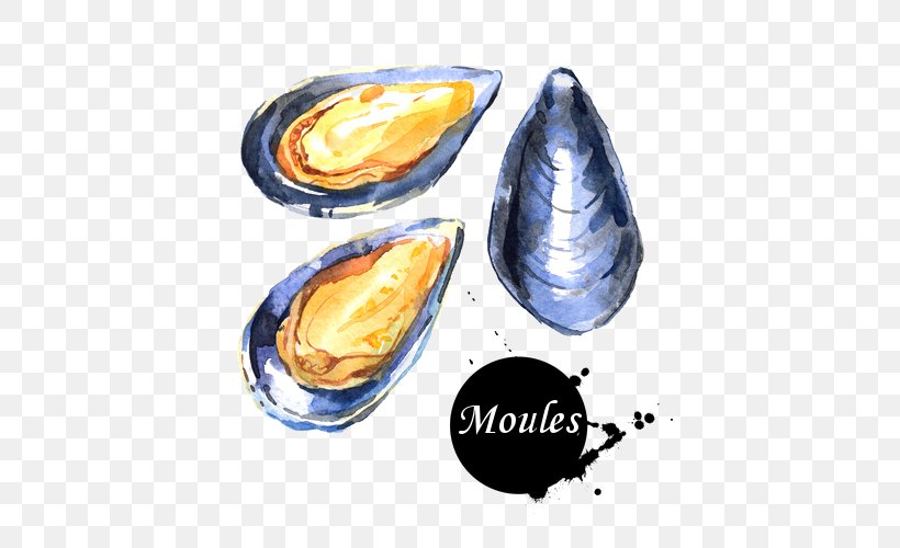 Watercolor Drawing, PNG, 500x500px, Mussel, Abalone, Baltic Clam, Bivalve, Clam Download Free