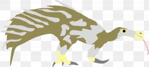 Beak Character Terrestrial Animal Clip Art PNG