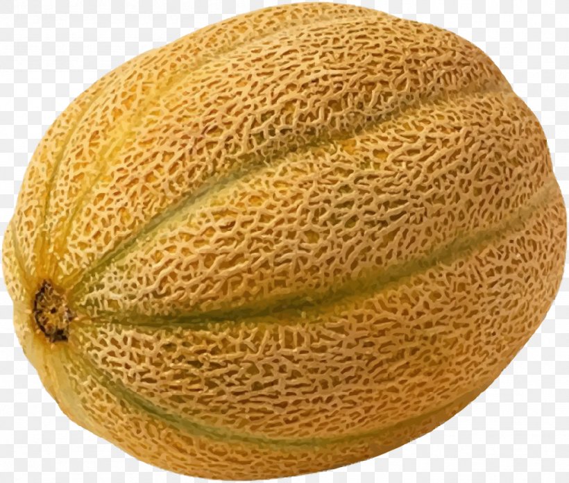 Cantaloupe Honeydew Hami Melon Galia Melon Cucumber, PNG, 999x849px, Cantaloupe, Commodity, Cucumber, Cucumber Gourd And Melon Family, Cucumis Download Free