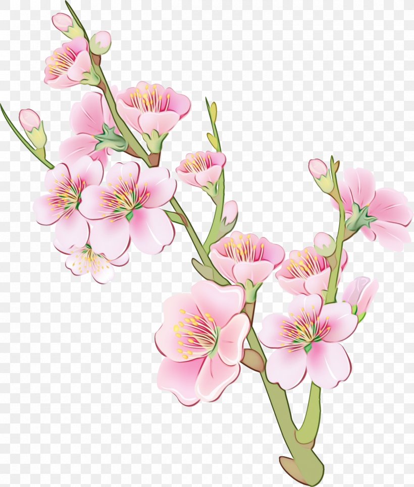 Flower Flowering Plant Cut Flowers Plant Pink, PNG, 1240x1461px, Watercolor, Cut Flowers, Flower, Flowering Plant, Paint Download Free