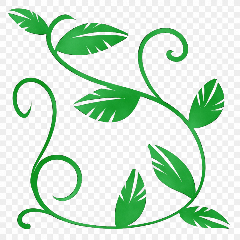 Plant Stem Leaf Line Art Green Line, PNG, 1200x1200px, Watercolor, Biology, Green, Leaf, Line Download Free