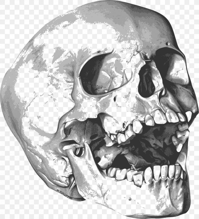 Skull Drawing Art Clip Art, PNG, 1166x1280px, Skull, Anatomy, Art, Artist, Black And White Download Free