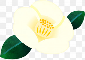 Yellow M Computer Fruit PNG