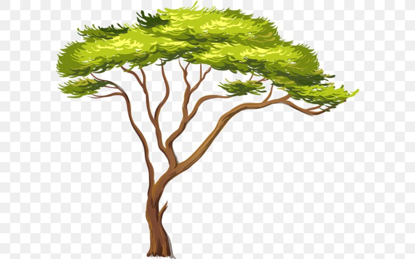 African Trees Clip Art, PNG, 600x511px, Africa, Adansonia Digitata, African Trees, Baobab, Branch Download Free