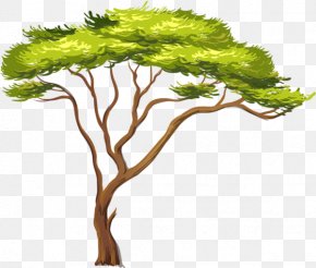 Africa - African Trees Clip Art PNG