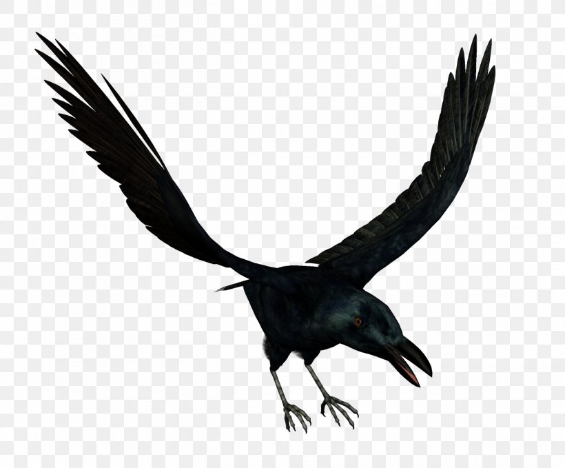 Bird Crows Download, PNG, 1311x1086px, Bird, Animal, Beak, Bird Of Prey, Crows Download Free