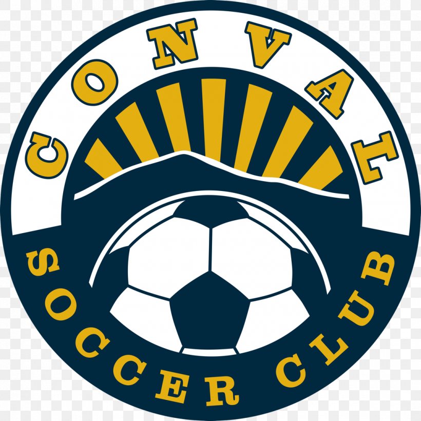 ConVal Regional High School France Ligue 1 Football Team Coach, PNG, 1080x1080px, France Ligue 1, Area, Ball, Brand, Coach Download Free
