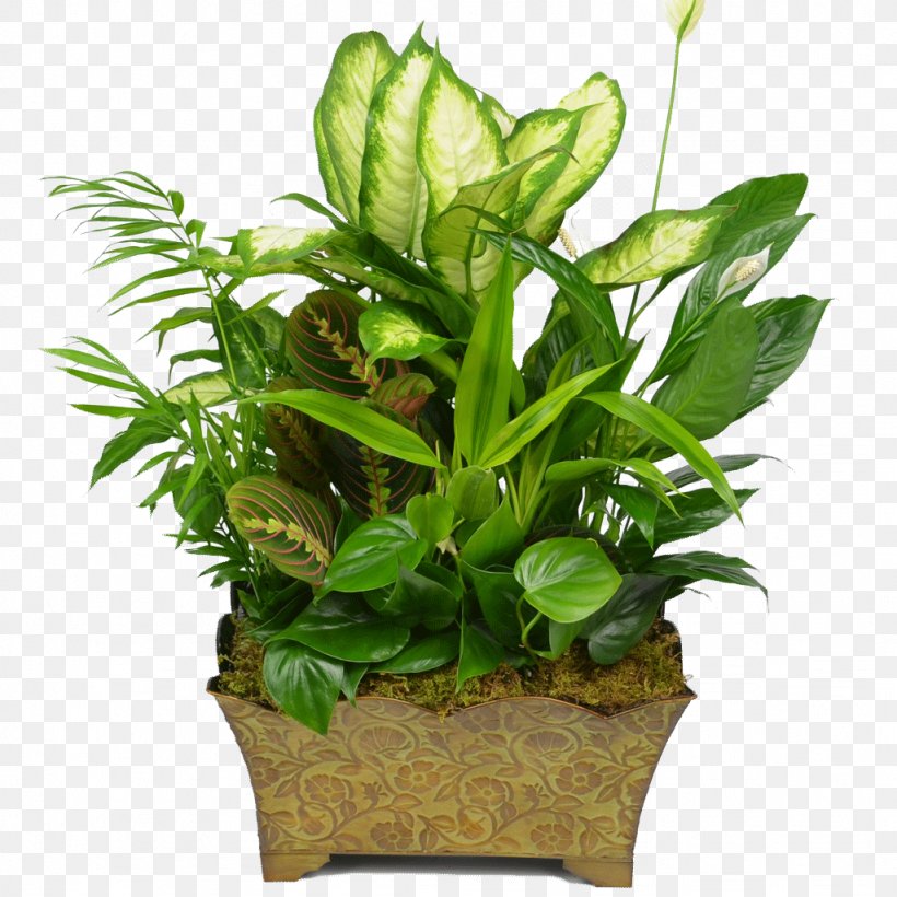 Floristry Flowerpot Houseplant Garden, PNG, 1024x1024px, Floristry, Aquarium Decor, Aquatic Plant, Aquatic Plants, Container Garden Download Free
