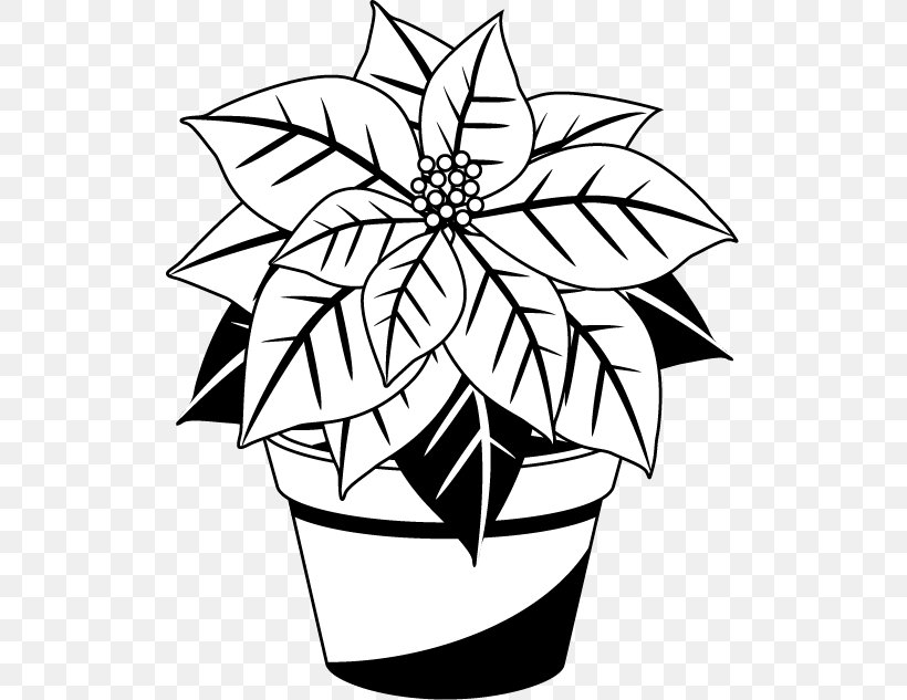 Poinsettia Christmas Black And White Red Clip Art, PNG, 519x633px, Poinsettia, Artwork, Black And White, Christmas, Christmas Tree Download Free