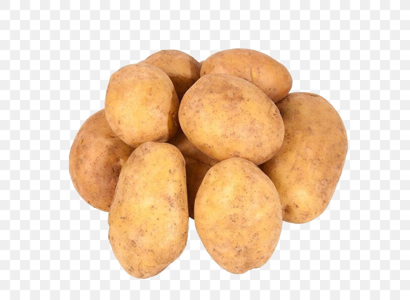 Russet Burbank Potato Irish Potato Candy Yukon Gold Potato Sweet Potato Tuber, PNG, 600x600px, Russet Burbank Potato, Arracacia Xanthorrhiza, Celery, Food, Hortifruti Download Free