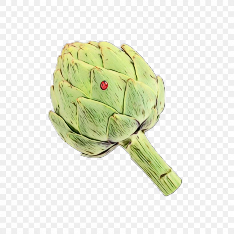 Vegetables Cartoon, PNG, 1000x1000px, Artichoke, Cynara, Daisy Family, Dietary Supplement, Drink Download Free