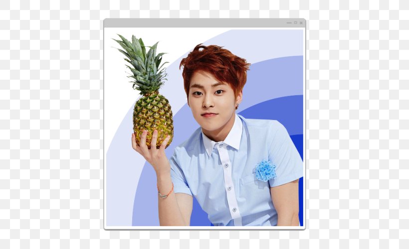 Xiumin EXO Desktop Wallpaper South Korea K-pop, PNG, 500x500px, Watercolor, Cartoon, Flower, Frame, Heart Download Free
