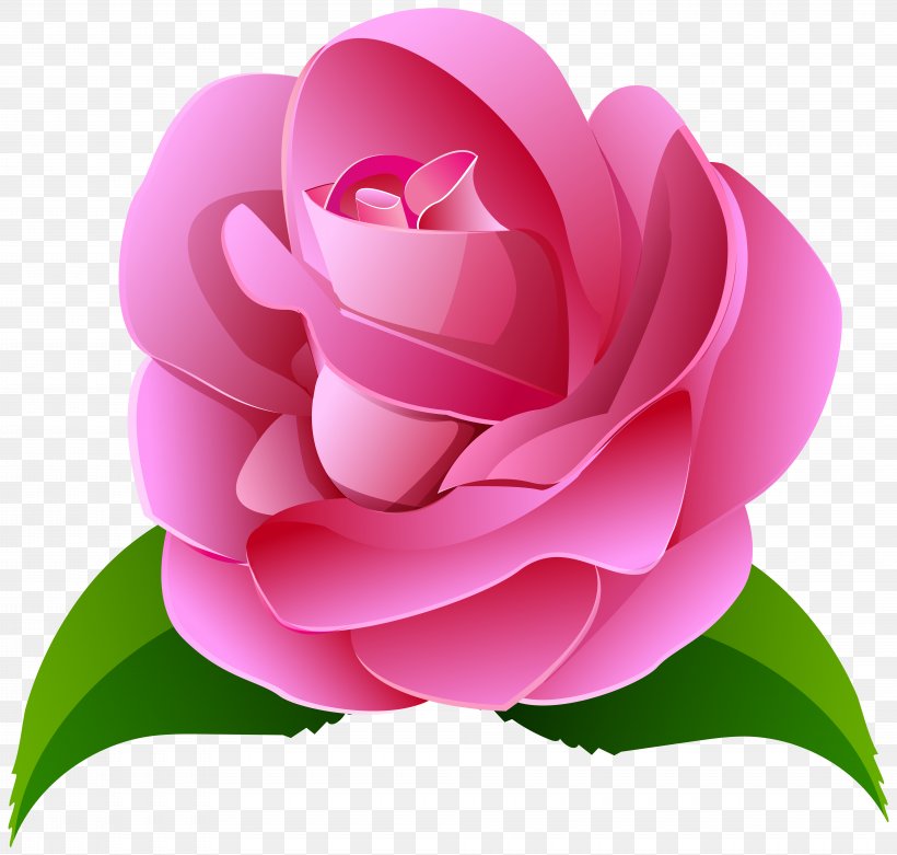 Clip Art Rose Image Openclipart, PNG, 8000x7629px, Rose, Camellia, Color, Cut Flowers, Flower Download Free