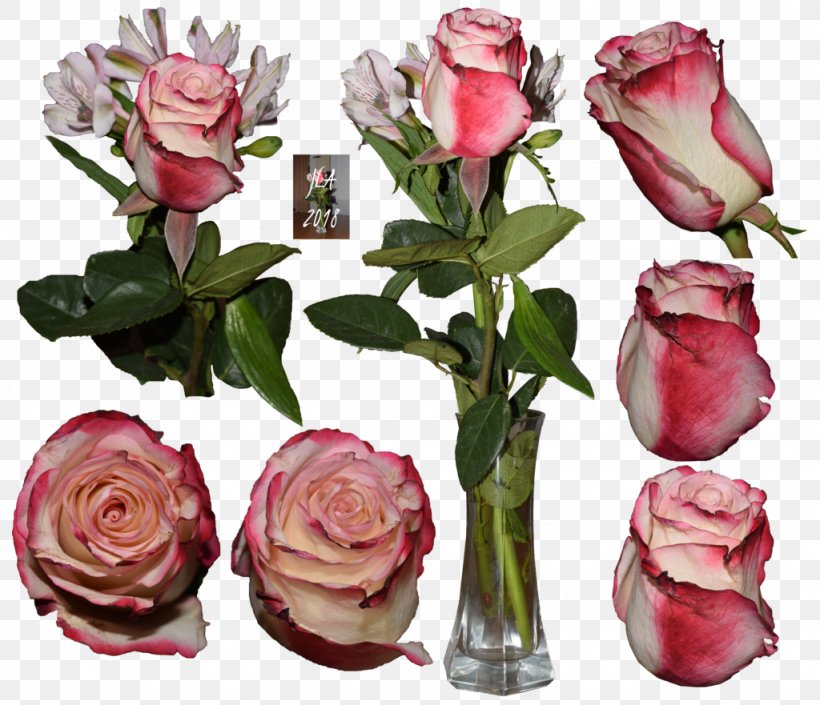 Cut Flowers Floral Design Garden Roses Art, PNG, 1024x881px, Cut Flowers, Art, Artificial Flower, Bud, Centifolia Roses Download Free