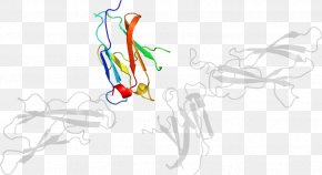Design - Graphic Design Drawing Line Art Clip Art PNG
