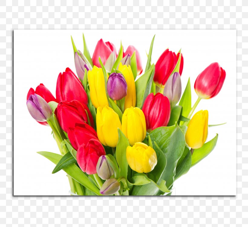 Tulip Flower Bouquet Cut Flowers Petal, PNG, 750x750px, Tulip, Cut Flowers, Floral Design, Floristry, Flower Download Free