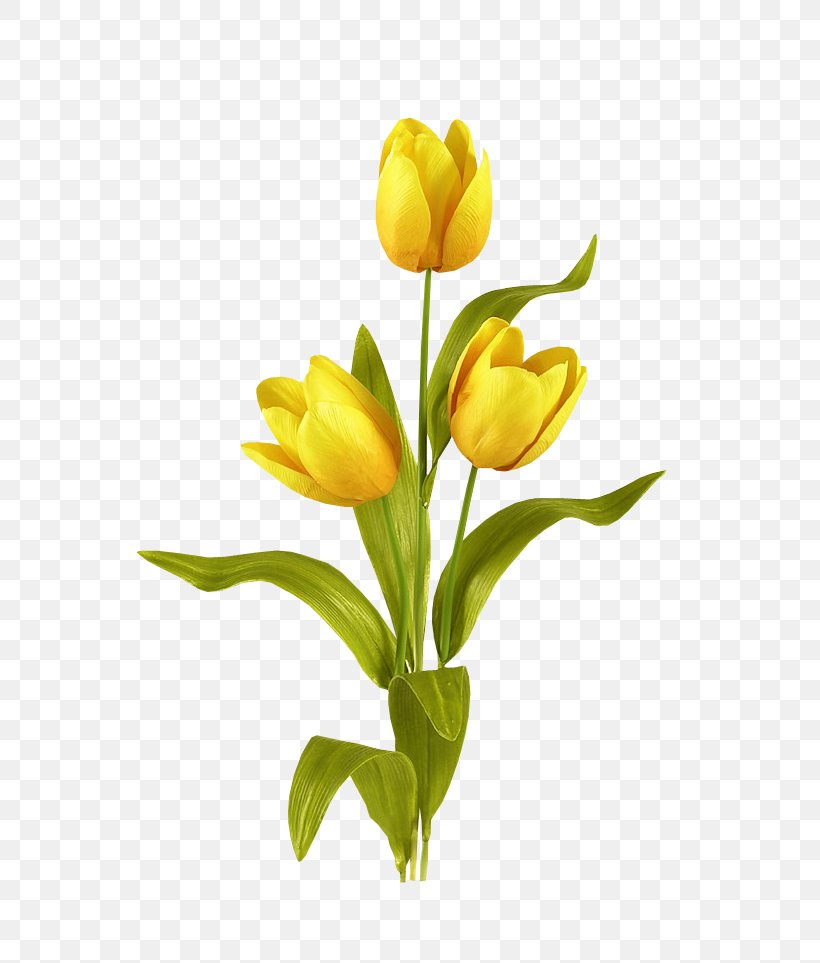 Tulip Mania Flower Bouquet Bulb, PNG, 627x963px, Tulip, Artificial Flower, Bud, Bulb, Cut Flowers Download Free