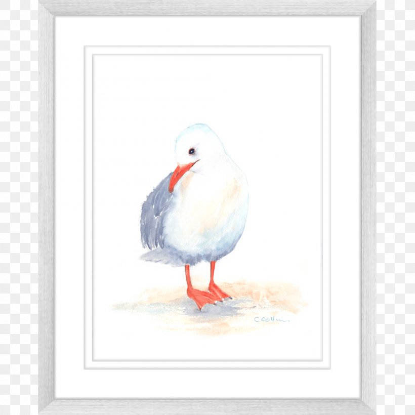 Duck Gulls Seabird Fauna Watercolor Painting, PNG, 1000x1000px, Duck, Beak, Bird, Color, Ducks Geese And Swans Download Free