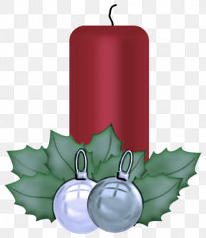 Holly PNG