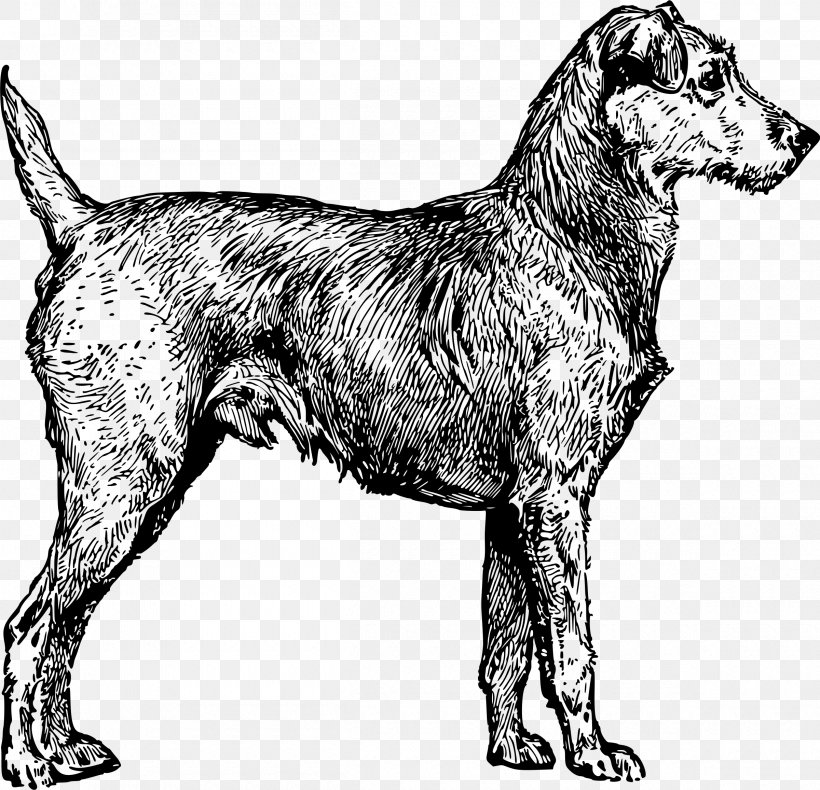 Irish Wolfhound Irish Terrier Puppy Yorkshire Terrier Clip Art, PNG, 2400x2313px, Irish Wolfhound, Ancient Dog Breeds, Animal, Black And White, Canidae Download Free