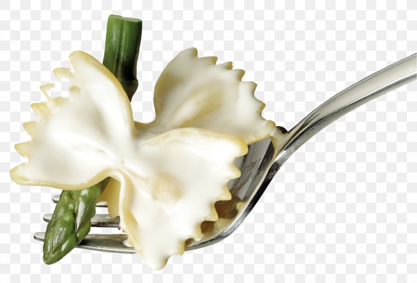 Pasta High-definition Television Noodle, PNG, 1024x697px, Pasta, Cutlery, Flower, Flowering Plant, Fork Download Free