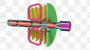 Relativistic Heavy Ion Collider Nuclotron-based Ion Collider Facility PNG
