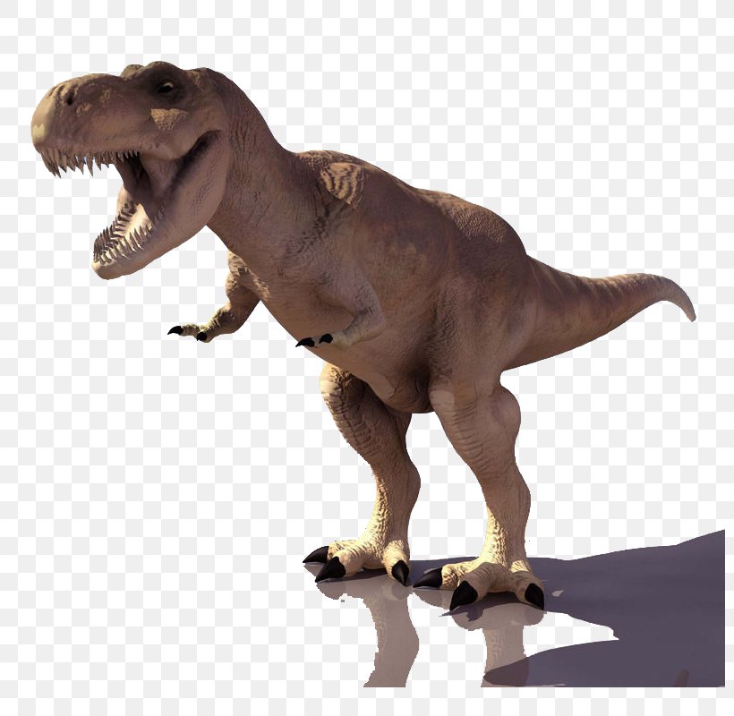 Combat Of Giants: Dinosaurs 3D Tyrannosaurus 3D Computer Graphics 3D Modeling, PNG, 800x800px, 3d Computer Graphics, 3d Modeling, Combat Of Giants Dinosaurs 3d, Autodesk 3ds Max, Autodesk Maya Download Free