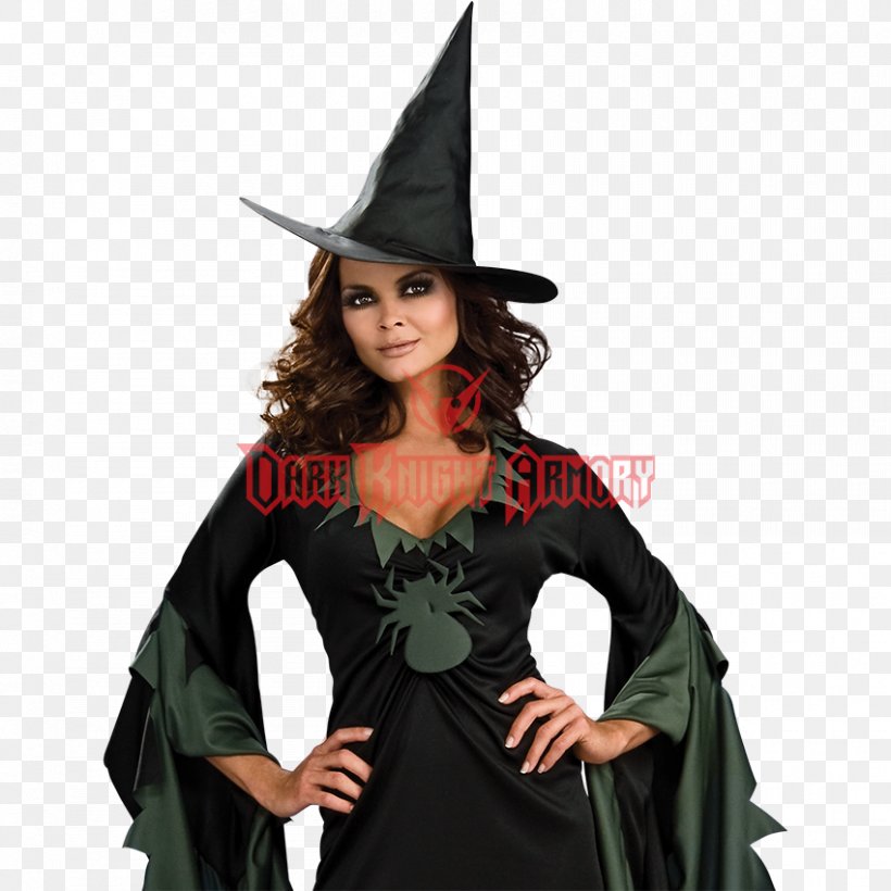 Costume Witchcraft Carnival Wiedźma, PNG, 850x850px, Costume, Bonfire, Carnival, Court Dress, Disguise Download Free