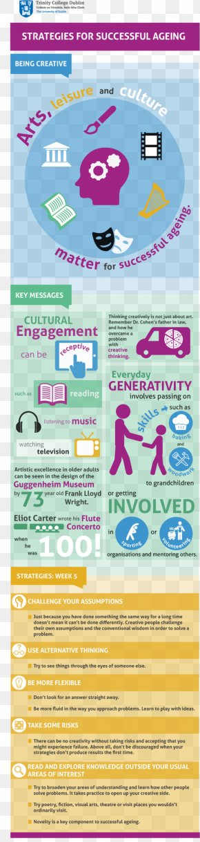 Step Infographic - Graphic Design Screenshot Poster PNG