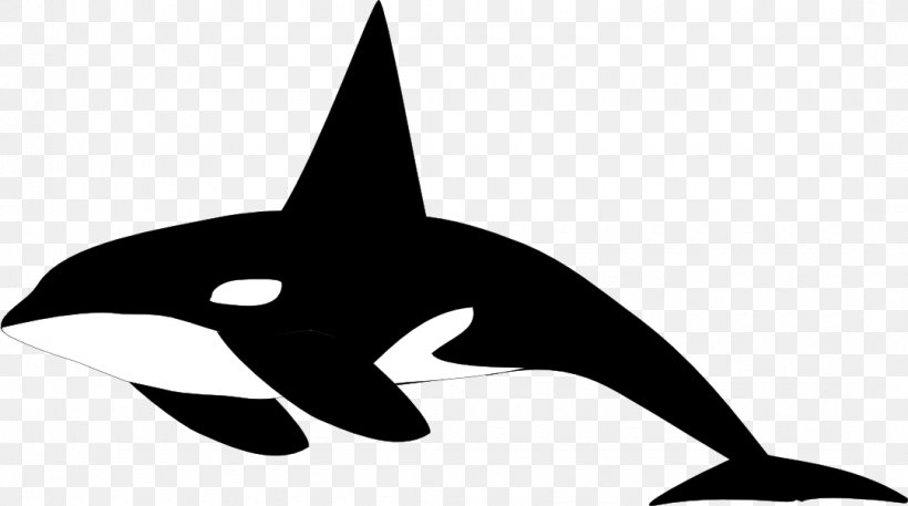 Killer Whale Shamu Clip Art, PNG, 1080x603px, Killer Whale, Beak, Bird, Black And White, Blog Download Free