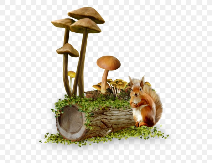 Mushroom Clip Art, PNG, 600x632px, Mushroom, Fauna, Fungus, Image File Formats, Tiff Download Free