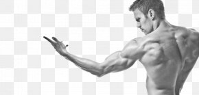 Muscle Fitness Bodybuilding Png 732x1038px Muscle Arm Art Images, Photos, Reviews