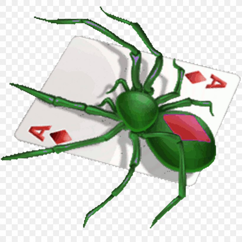 Microsoft Spider Solitaire Microsoft Solitaire Spider Free Solitaire Patience, PNG, 1024x1024px, Microsoft Spider Solitaire, Android, Arthropod, Card Game, Flower Download Free